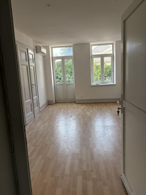 Location appartement T2 Sarrebourg - Photo 3