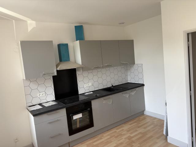 Location appartement T2 Sarrebourg - Photo 5