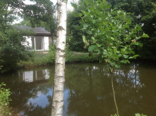 Location maison F2 Fay de Bretagne - Photo 9