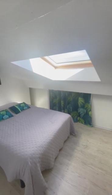 Location appartement T2 St Etienne - Photo 6