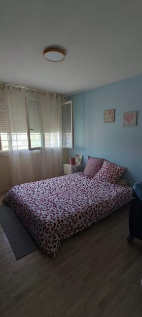 Location appartement T3 St Etienne - Photo 5