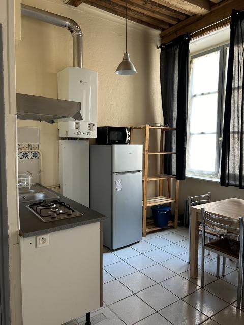 Location appartement T2 Lyon 1 - Photo 2