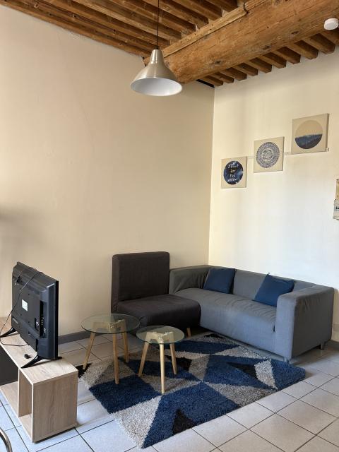 Location appartement T2 Lyon 1 - Photo 4