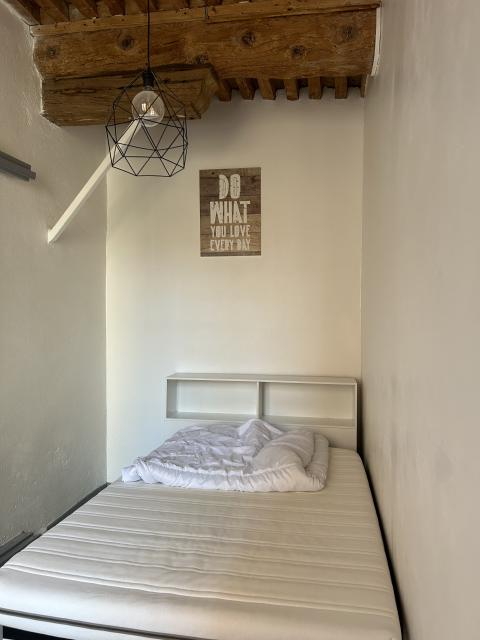 Location appartement T2 Lyon 1 - Photo 5