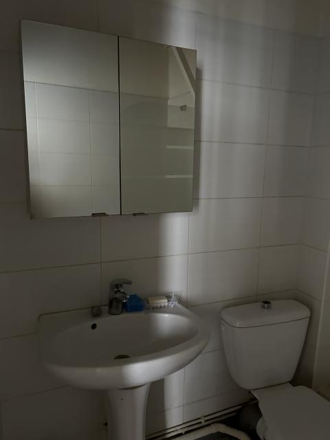 Location appartement T2 Lyon 1 - Photo 10