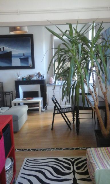 Location appartement T2 Nantes - Photo 6