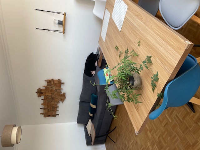 Location appartement T3 Reims - Photo 2