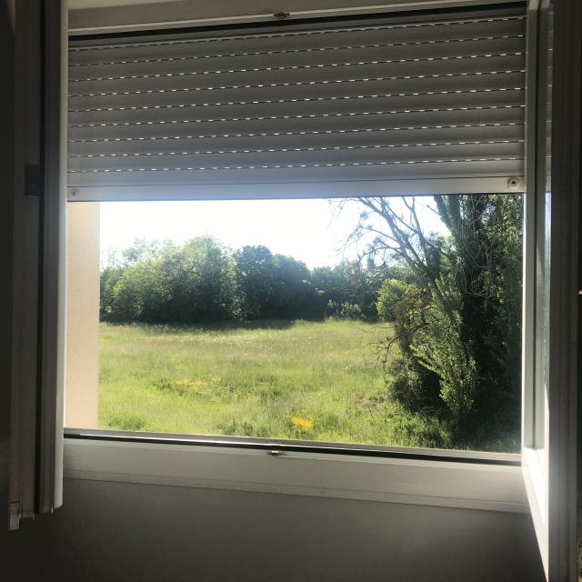 Location appartement T3 St Jean de Braye - Photo 8