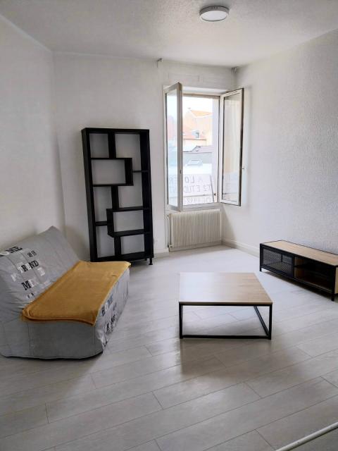 Location appartement T2 Belfort - Photo 6