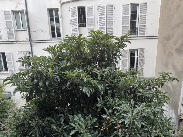 Location chambre Paris 20 - Photo 6