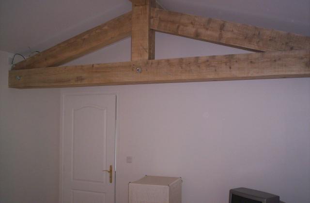 Location appartement T3 Condrieu - Photo 4