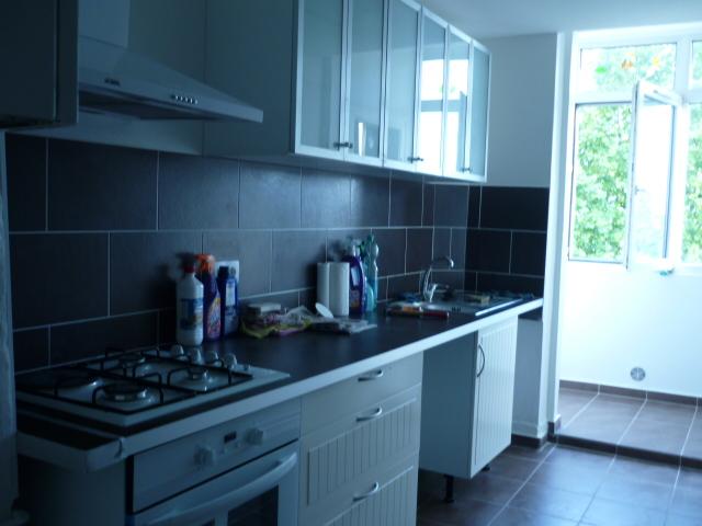 Location appartement T3 Strasbourg - Photo 2