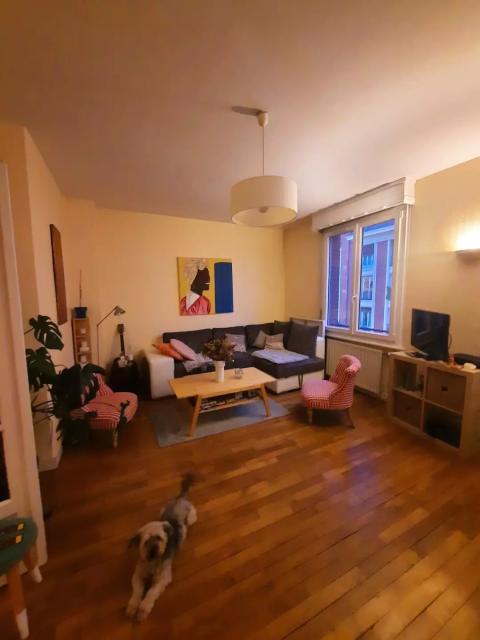 Location appartement T3 Amiens - Photo 3