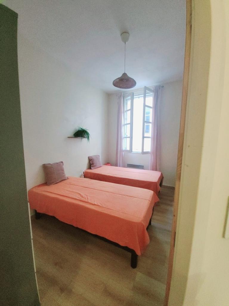 Location chambre Avignon - Photo 2
