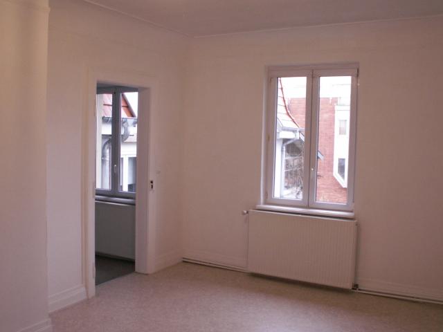 Location appartement T3 Sarrebourg - Photo 10