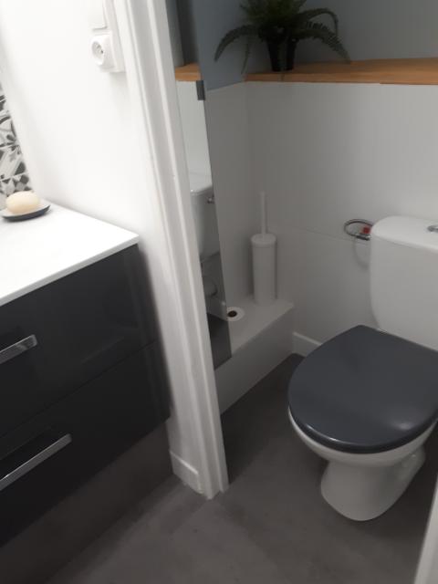 Location appartement T3 Lyon 8 - Photo 6