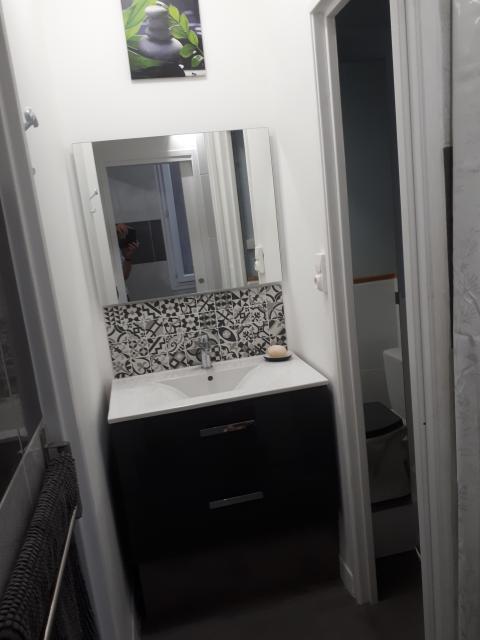 Location appartement T3 Lyon 8 - Photo 9