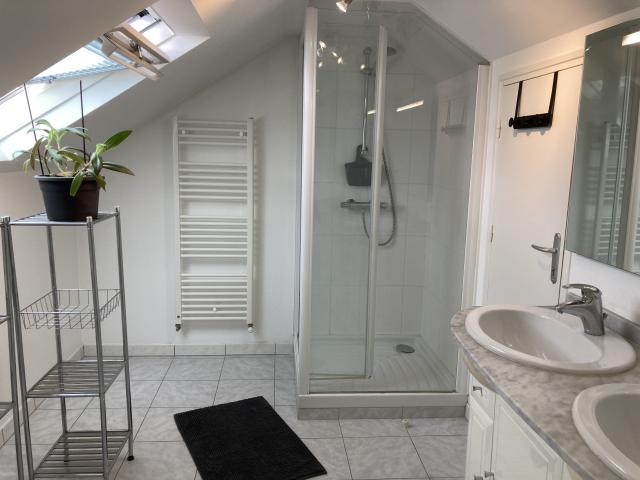 Location appartement T3 Angers - Photo 3