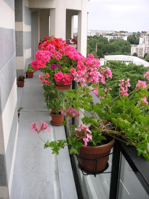 Location appartement T3 St Germain en Laye - Photo 10