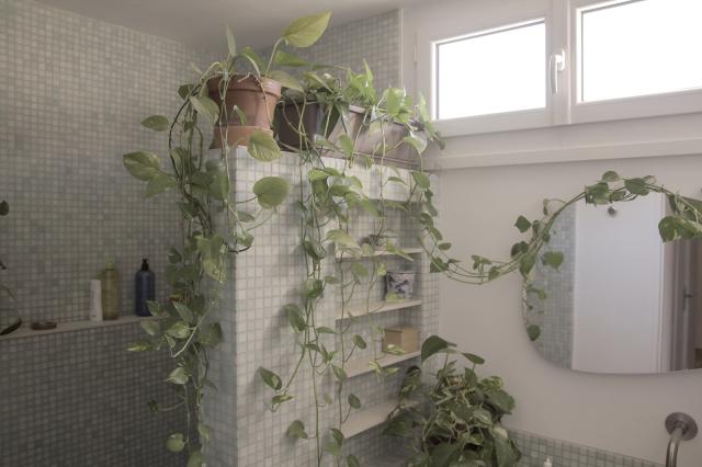 Location appartement T3 Marseille 04 - Photo 7