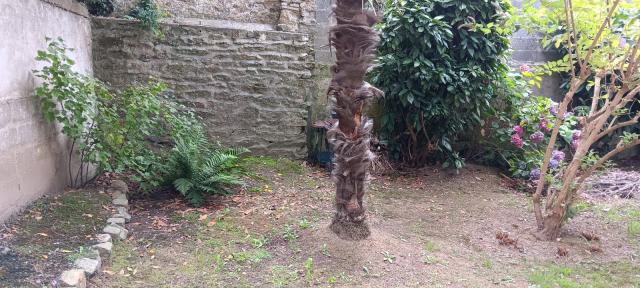 Location appartement T2 Brest - Photo 2