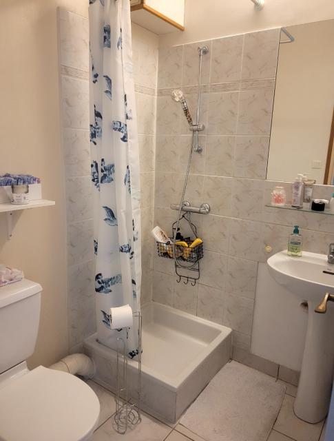 Location appartement T2 Brest - Photo 5