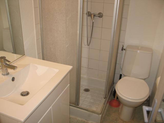 Location appartement T2 Grenoble - Photo 3