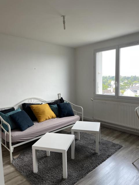 Location appartement T3 Nantes - Photo 7