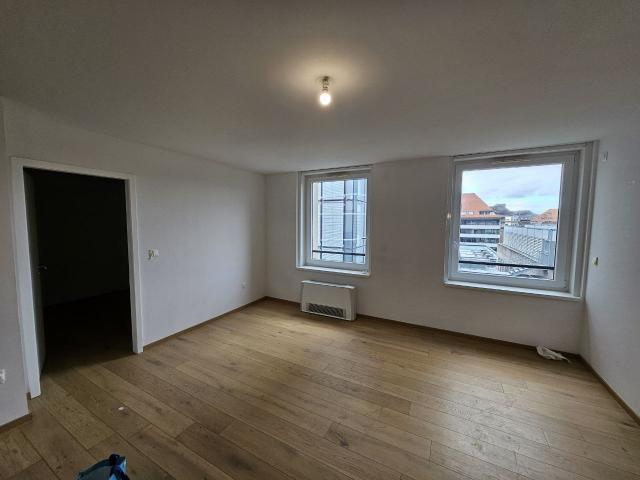 Location appartement T3 Strasbourg - Photo 3