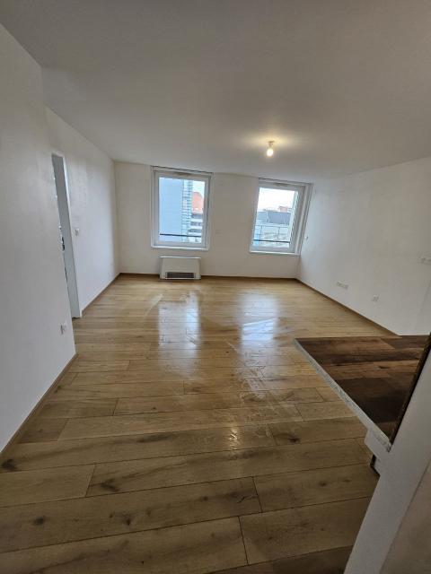 Location appartement T3 Strasbourg - Photo 2