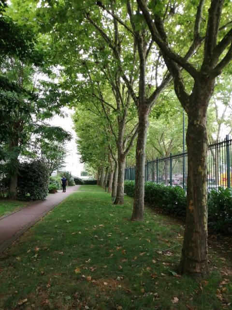 Location appartement T3 Puteaux - Photo 10