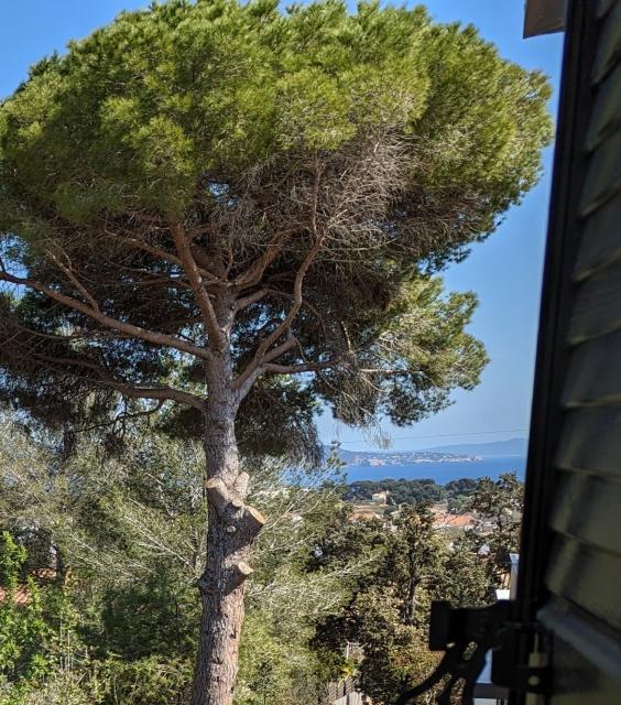 Location maison F3 La Ciotat - Photo 9
