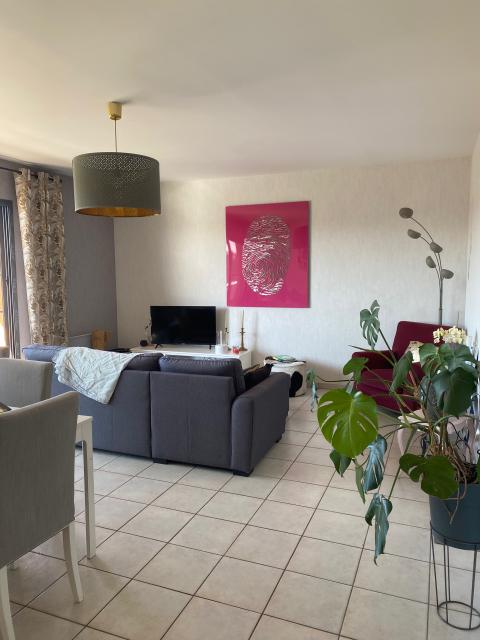 Location appartement T4 Toulouse - Photo 6