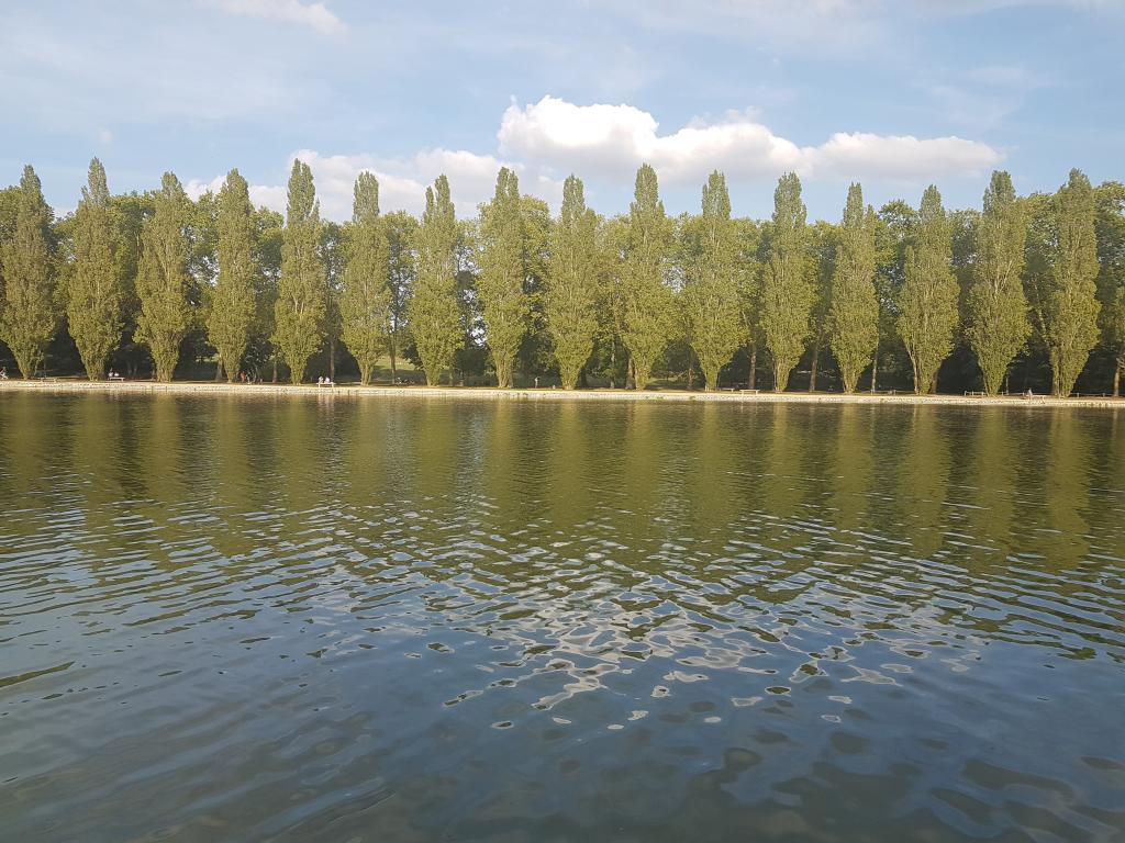 Location chambre Bures sur Yvette - Photo 1