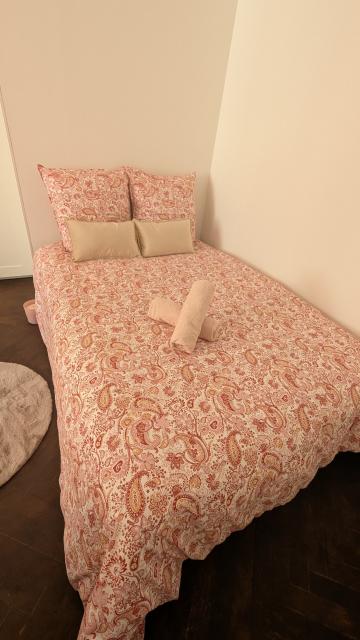 Location appartement T2 Nice - Photo 4