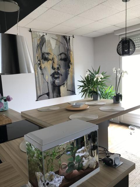 Location chambre Carcassonne - Photo 7