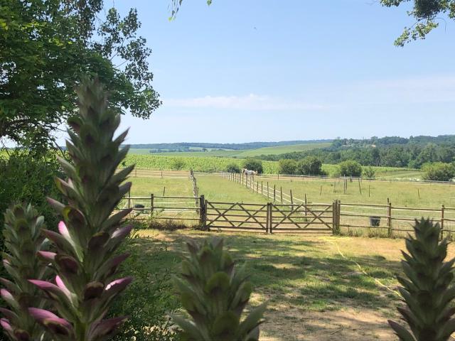 Location chambre Ste Maure de Peyriac - Photo 3