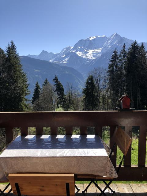 Location studio St Gervais les Bains - Photo 4