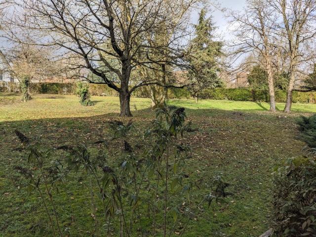 Location appartement T5 Mulhouse - Photo 2