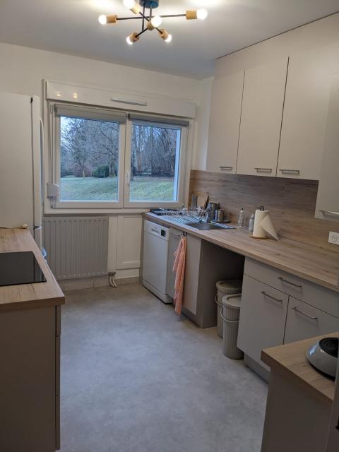 Location appartement T5 Mulhouse - Photo 3