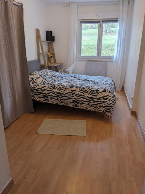 Location appartement T5 Mulhouse - Photo 6