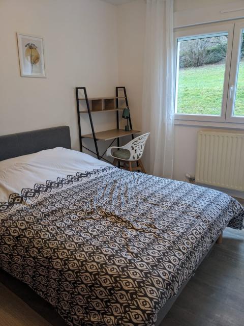 Location appartement T5 Mulhouse - Photo 8
