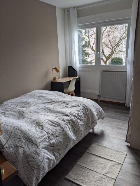 Location appartement T5 Mulhouse - Photo 9
