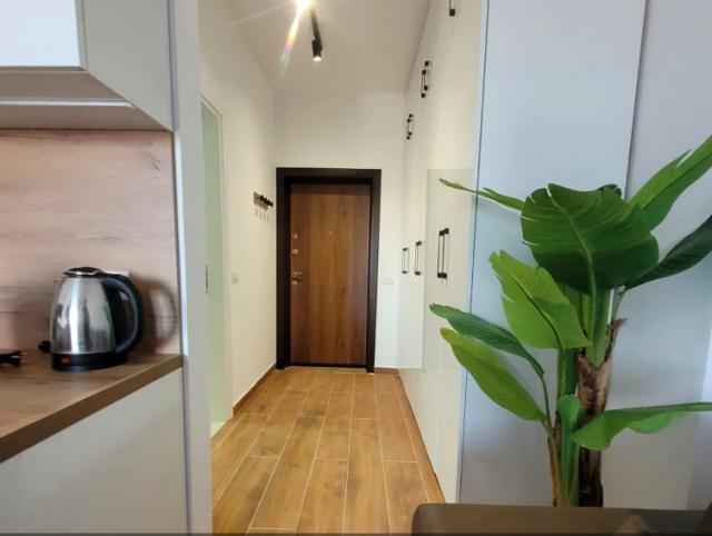 Location studio Lille - Photo 2