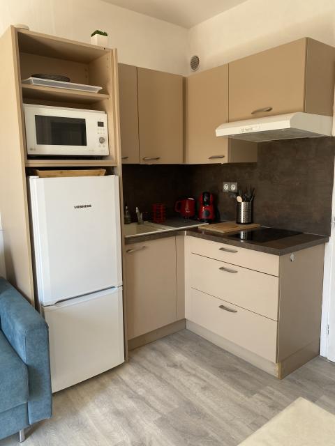 Location appartement T2 Villeneuve Loubet - Photo 2
