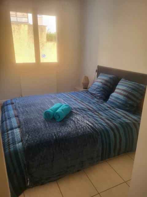 Location appartement T2 Chassieu - Photo 3