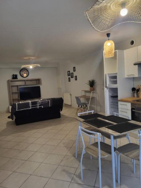 Location appartement T2 Chassieu - Photo 4