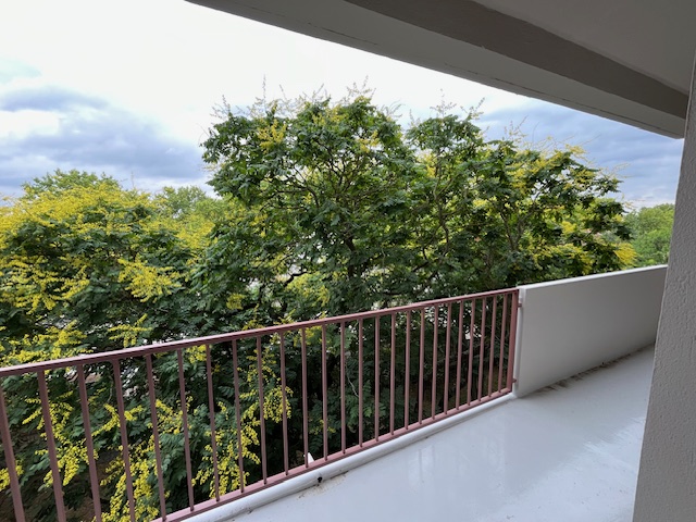 Location appartement T3 Toulouse - Photo 3