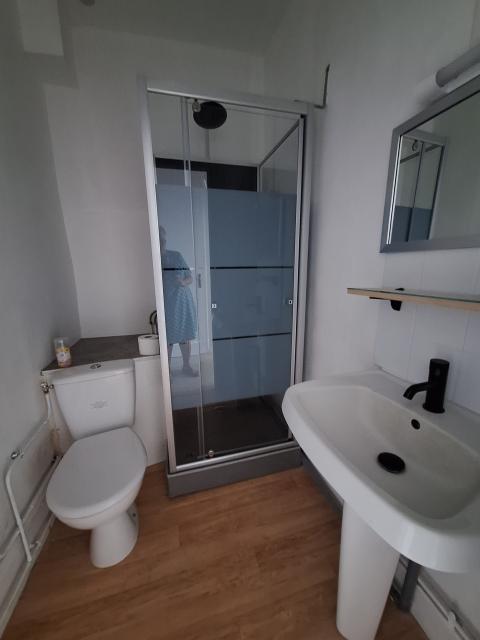 Location appartement T3 St Sulpice les Feuilles - Photo 3