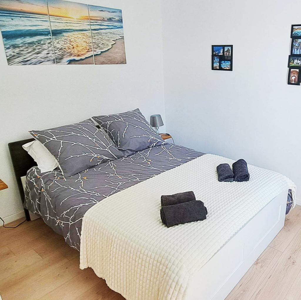 Location chambre Hyeres - Photo 2